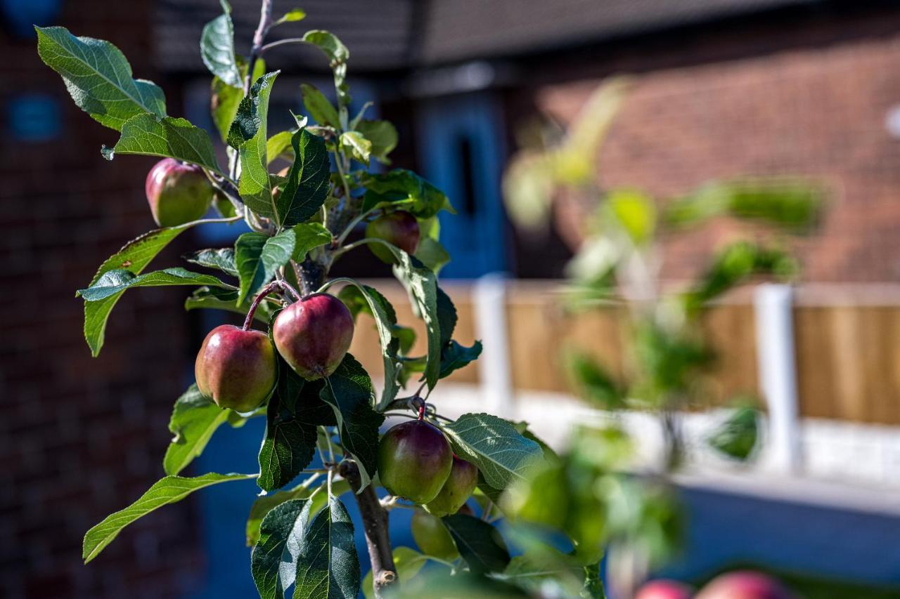 Thornton Apple Tree Bungalow别墅 外观 照片